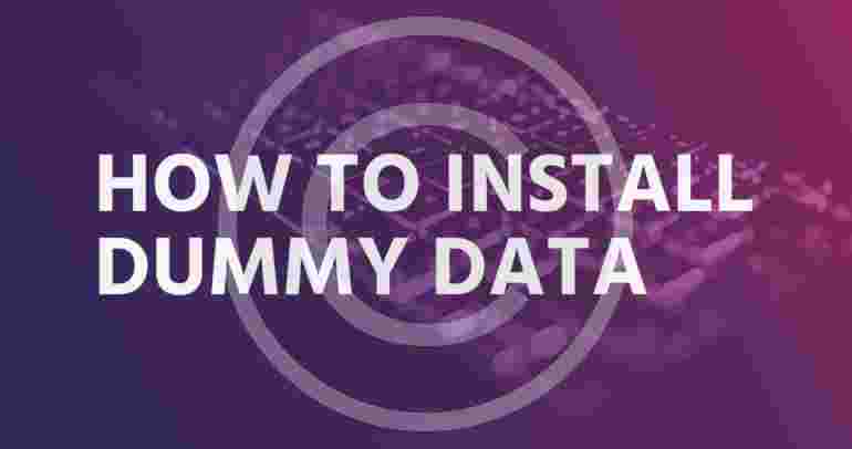 How to install dummy data
